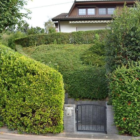 Ferienwohnung Kaiserstuhlblick Teningen Buitenkant foto