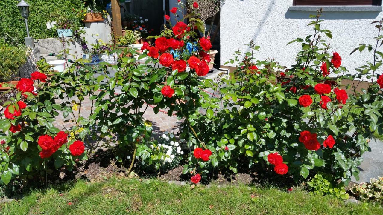 Ferienwohnung Kaiserstuhlblick Teningen Buitenkant foto