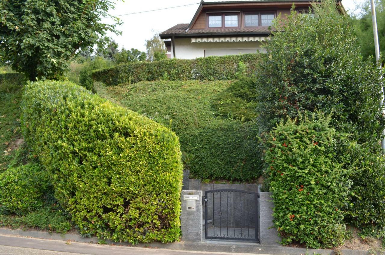 Ferienwohnung Kaiserstuhlblick Teningen Buitenkant foto